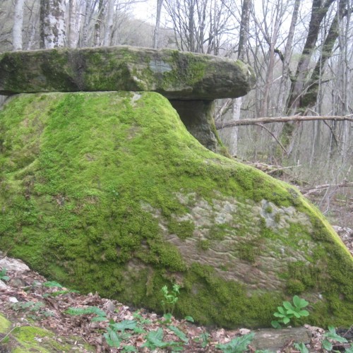 Перезагрузка в горах и на море в мини-группе