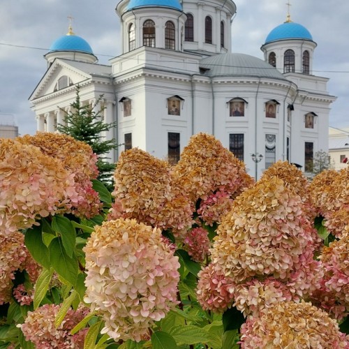 Знаменитые жители Казани