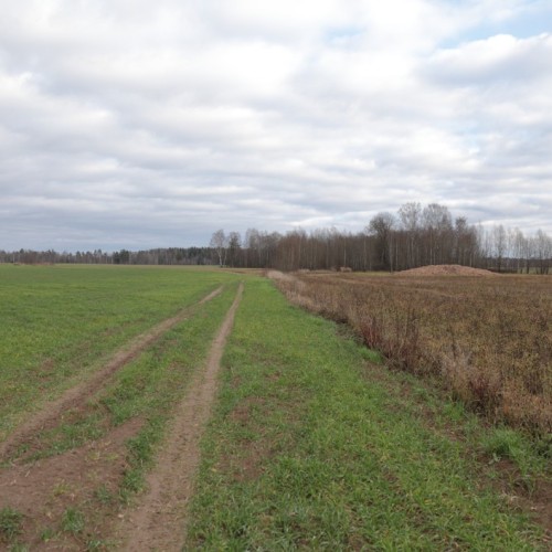 По тропам Торжокского района: пеший поход с рюкзаками