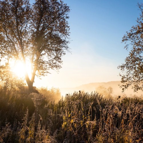 Большой поход с рюкзаками и палатками по Камчатке: вулканы, Тихий океан, термы и альпийские луга