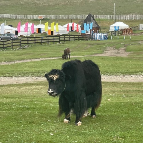 Индивидуальное путешествие из Иркутска в Монголию на выходные