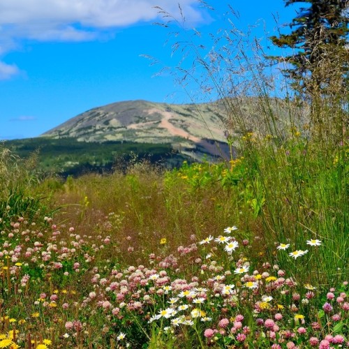 Большое путешествие по Сибири: 3 области, малые народы, великие умы и промышленная мощь