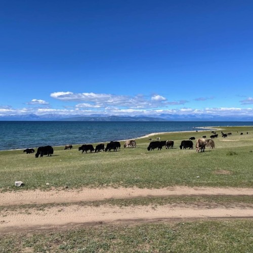 Два глубочайших озера-брата: путешествие на север Монголии и на Ольхон