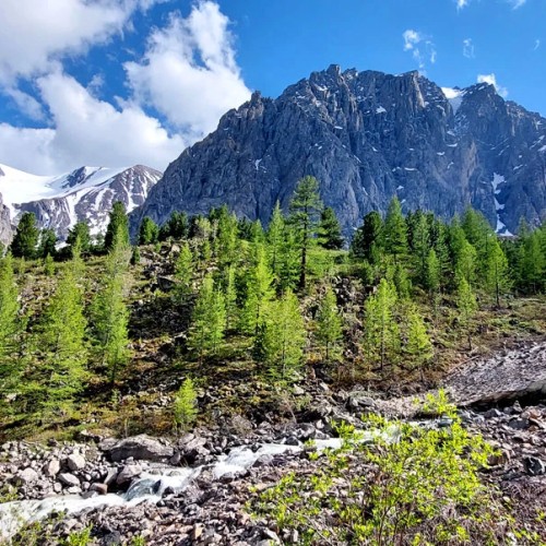Насыщенный треккинг-тур по Алтаю с размещением на турбазах: более 25 локаций
