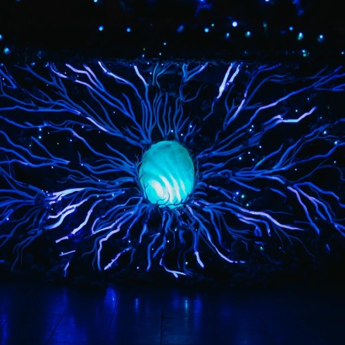 Русский винный дом «Абрау-Дюрсо» и дегустация тихих вин (всё включено) 18+