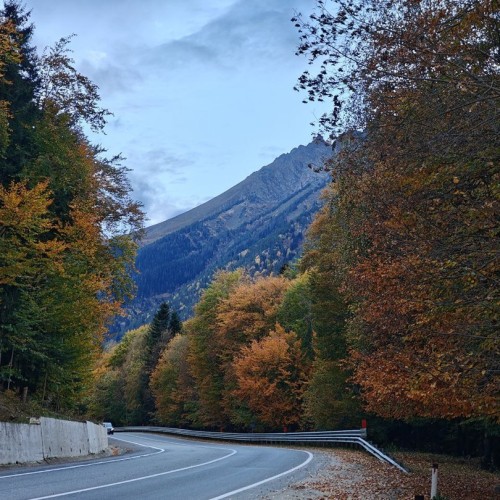 А давай в Домбай? Треккинг без рюкзаков