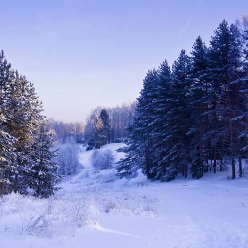 Легенды и были озера Светлояр