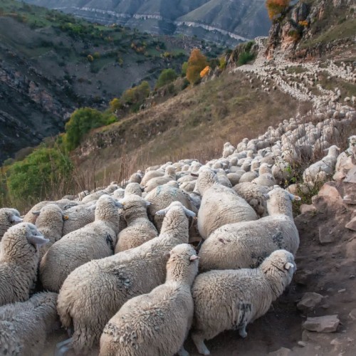 Виды и вкусы Дагестана с аэросъёмкой: топовые локации и национальная кухня