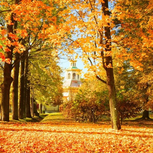 Царское Село максимум — групповая экскурсия без спешки