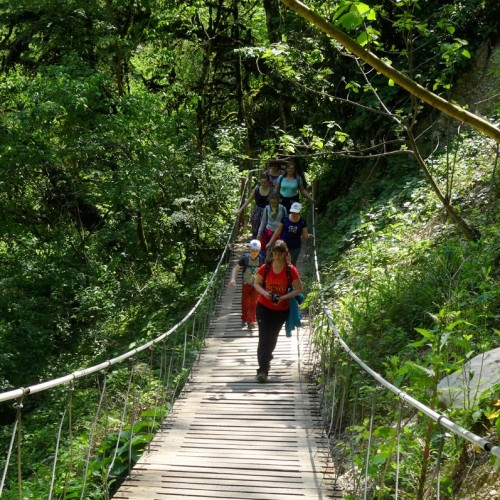 Лёгкий треккинг в субтропиках с проживанием в гостинице в Адлере