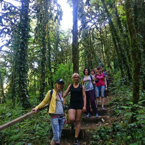 Лёгкий треккинг в субтропиках с проживанием в гостинице в Адлере