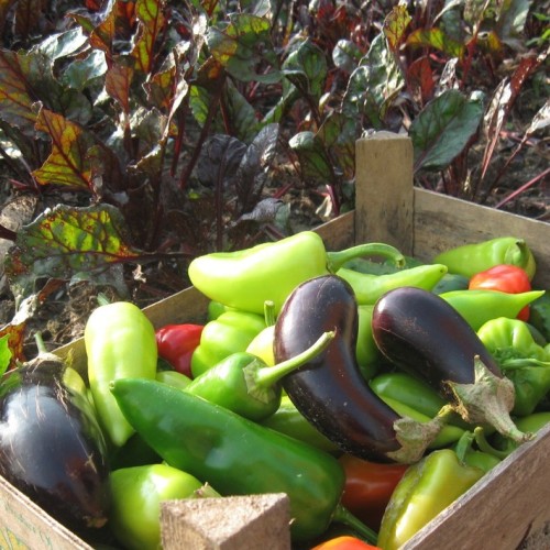 Женское счастье: отдых, правильное питание и проживание с видом на горы