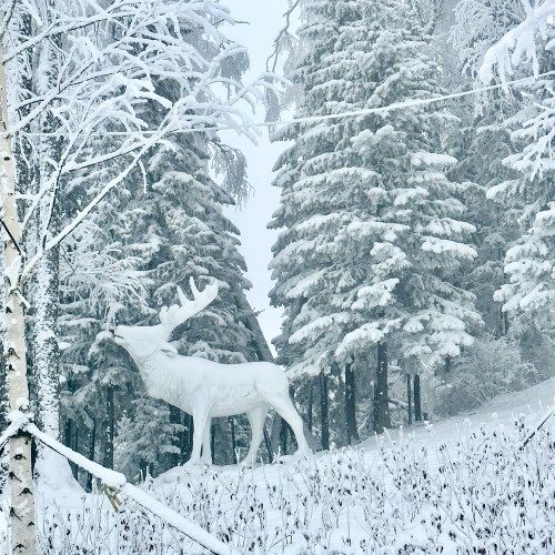 Из Горно-Алтайска — по красотам Чемала