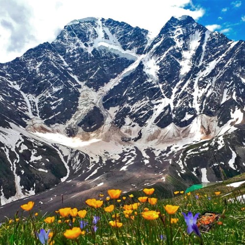 Лёгкий треккинг в горах Домбая с комфортом