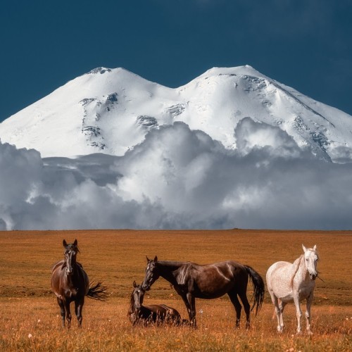 На поезде к жемчужинам Кавказа: города, горы, кухня, традиции 5 республик