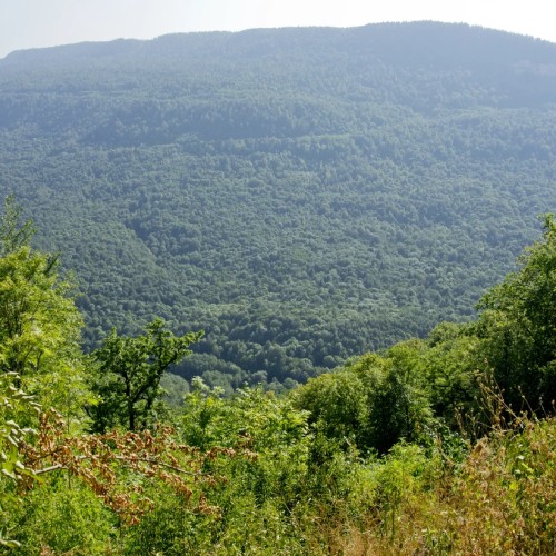 Орлиная полка, Курджипс, ущелье Гуамки и термальные источники