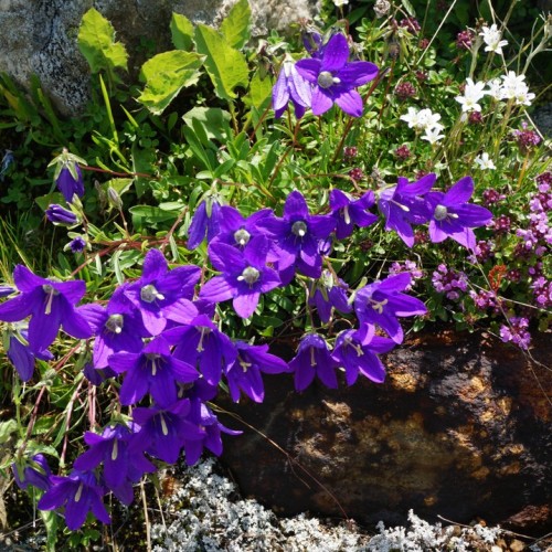 Треккинг налегке у подножия священной горы Уллу-Тау (комфорт размещения на выбор)