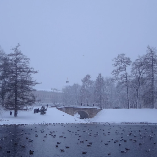 Гатчина: от императорской резиденции до столицы Ленинградской области