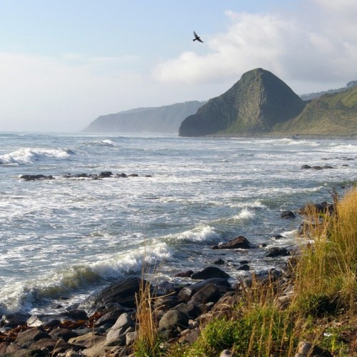 На острова посреди океана: Кунашир и Шикотан