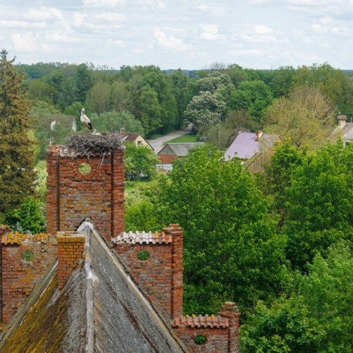 По популярным местам Калининграда и области: тур с длительностью на ваш выбор и заездом в любой день