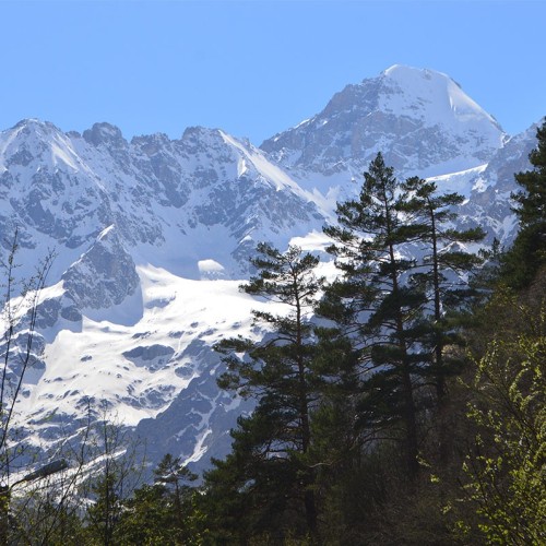 Треккинг в Цейском ущелье налегке с проживанием в гостинице (всё включено)