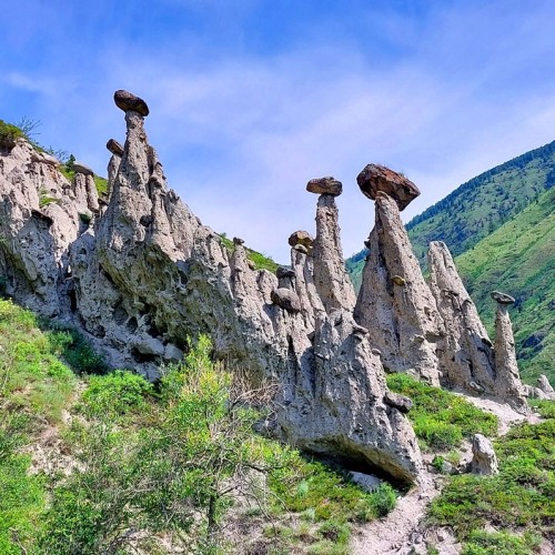 Насыщенный треккинг-тур по Алтаю с размещением на турбазах: более 25 локаций