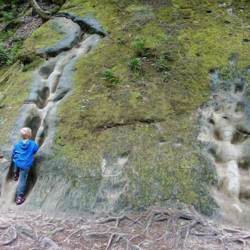 Кубань и Адыгея: казачьи традиции, горы и вина