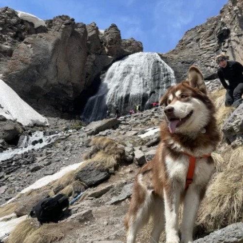 Комфортный треккинг в Приэльбрусье в мини-группе