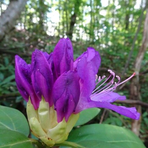 Перезагрузка в горах и на море в мини-группе