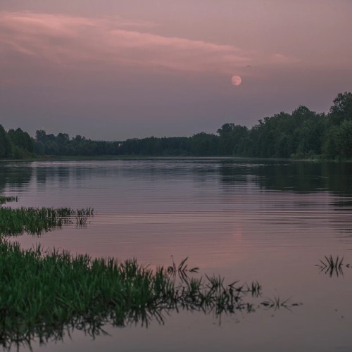 Конная прогулка в Нижнем Новгороде