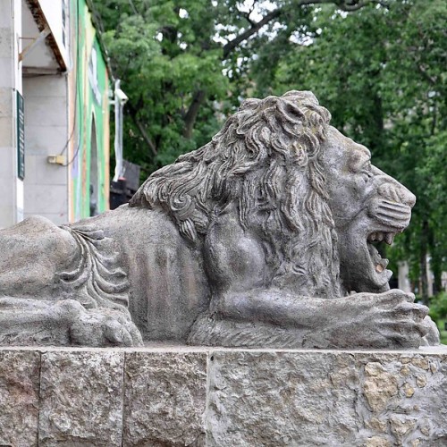 Львы Петербурга: новые приключения итальянцев в России