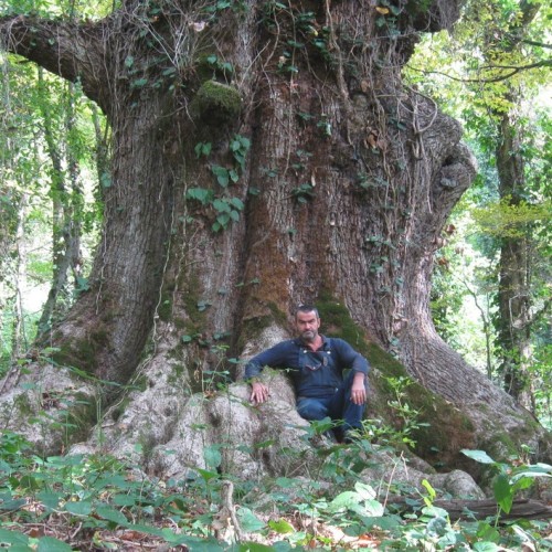 Перезагрузка в горах и на море в мини-группе