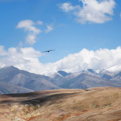 Алтай — активный: конная прогулка, лёгкий сплав и треккинг к горным озёрам + топовые локации