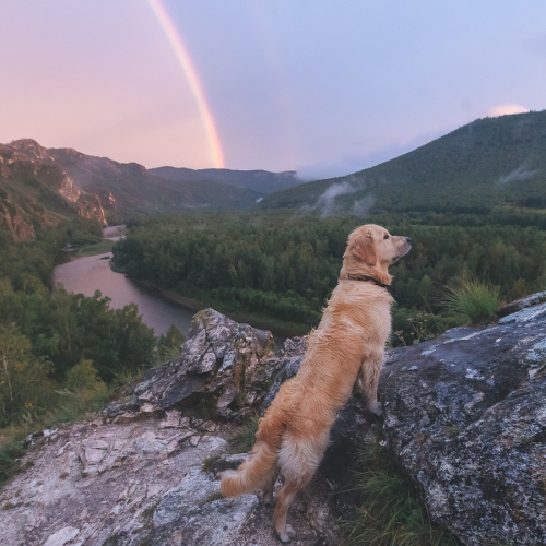 Активные выходные в Хакасии: сплав по Белому Июсу, треккинг по Тогыз-Аз, баня