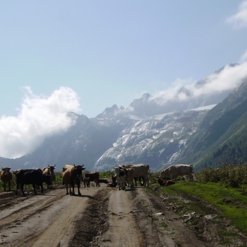 Треккинг-тур в Архыз с комфортом: прогулки в горах налегке с проживанием в гостевом доме