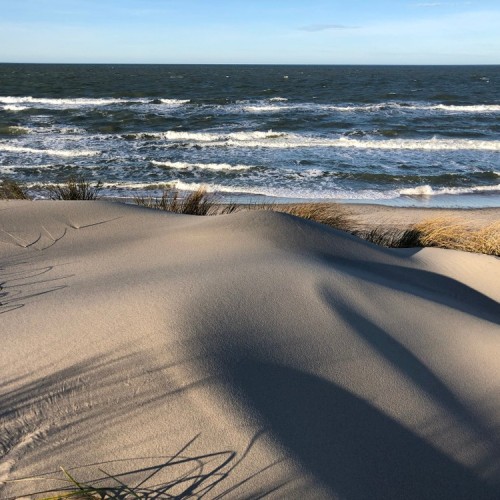 Встречай, янтарный край: индивидуальное путешествие по городам Калининградской области