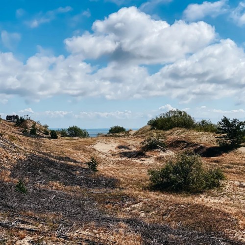 Топовые места Калининграда и области: курорты, природа и архитектура