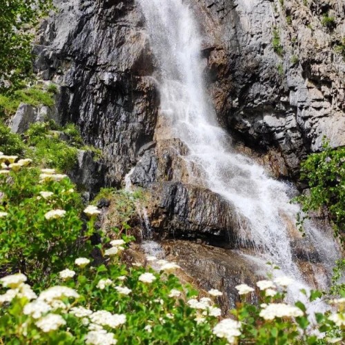 Перезагрузка на Алтае: топ локаций, заповедное озеро и моторафтинг по Катуни