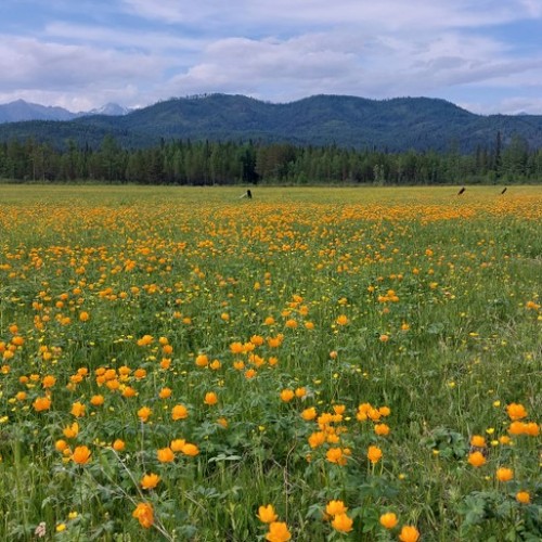 Подальше от цивилизации к озеру Хубсугул: индивидуальная поездка по Северной Монголии из Иркутска