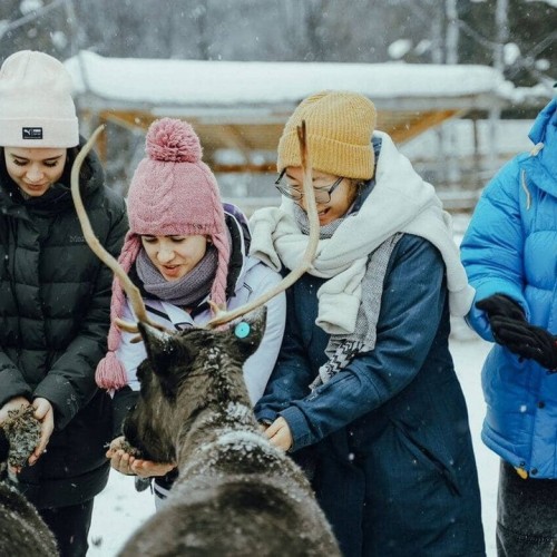 Териберка, Мурманск и деревня саамов: приключения на Кольском с поездкой за сиянием и поиском китов
