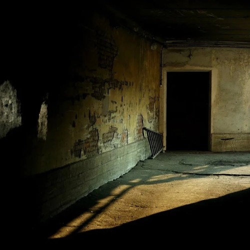 Литературный Петербург. Ожившая классика на улицах города