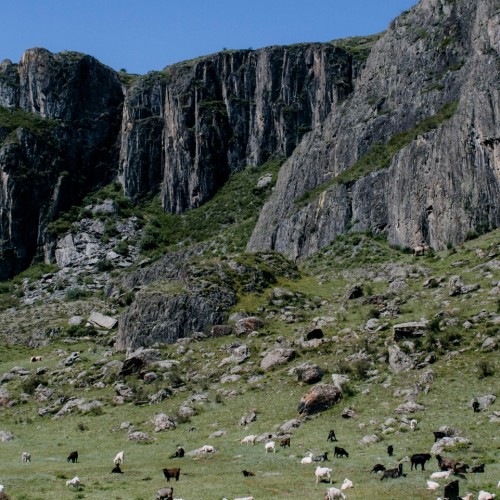 Тур по главным и редким местам Алтая на УАЗах: Чуйский тракт, горы, урочища, озёра и скалы