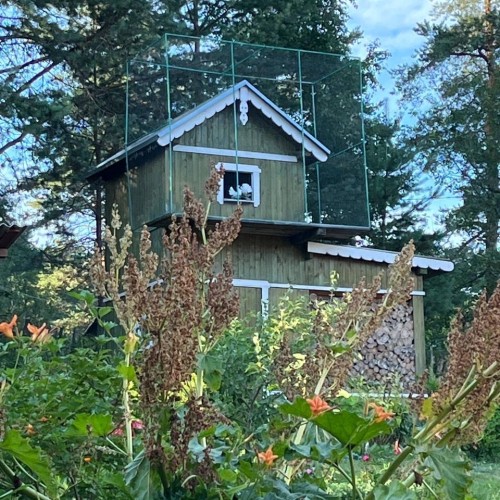 В Мурманск и Териберку из Санкт-Петербурга: Карелия, Кольский полуостров и города по пути