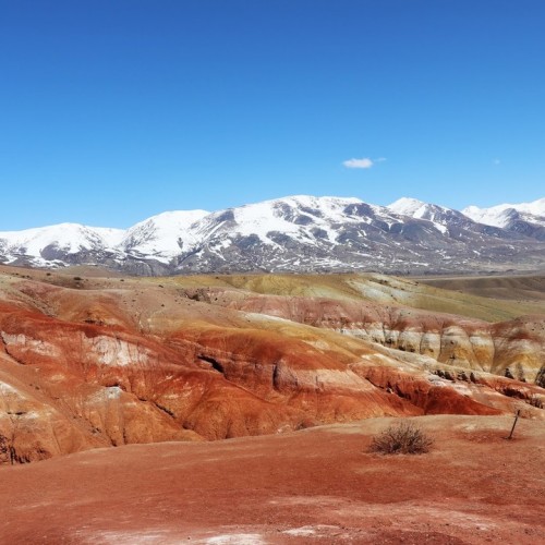 И уносит меня, и уносит меня в звенящий снежный Алтай (мини-группа)