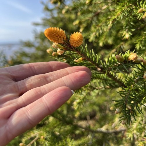 Шёпот волн, арктические дали, поморские селения: перезагрузка на Терском берегу