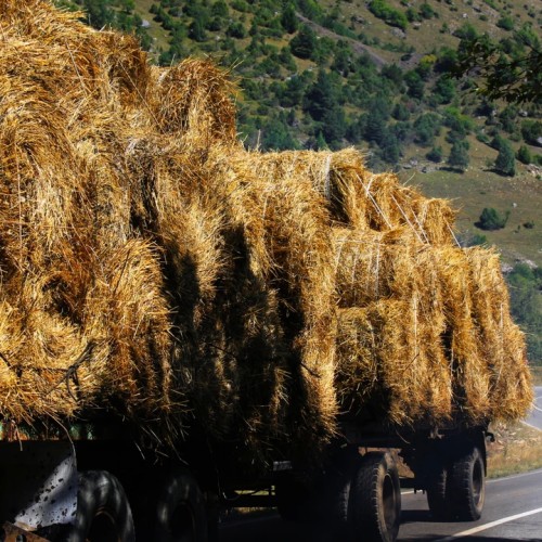 Таинство Ингушетии: треккинг налегке с восхождением на Столовую гору