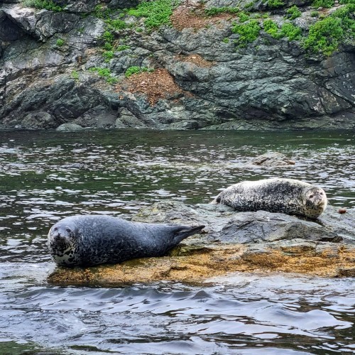 Заповедное Приморье: полуостров Гамова + Кравцовские водопады