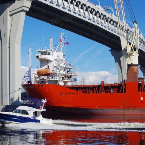 Таинственный Канонерский остров