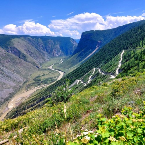 Насыщенный треккинг-тур по Алтаю с размещением на турбазах: более 25 локаций