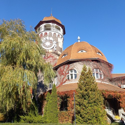 Тур-знакомство с Калининградом и окрестностями: Светлогорск, Зеленоградск, Янтарный и Балтийск